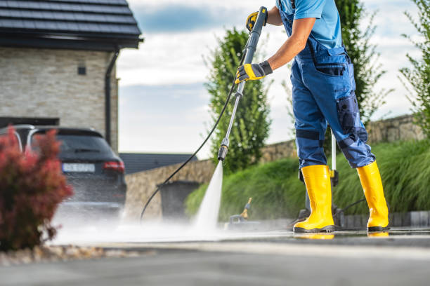 Best Animal Enclosure Cleaning  in Minster, OH